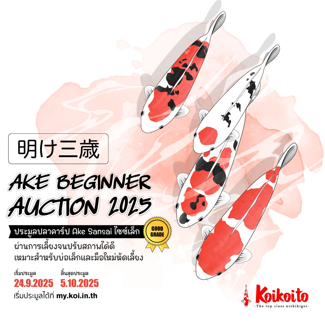 #1 Ake Beginner Auction 2025